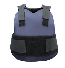 CONCEALABLE CARRIERS
