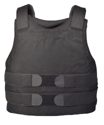 CONCEALABLE CARRIERS